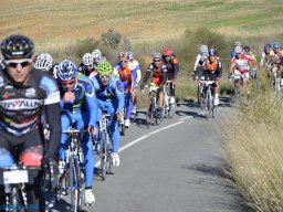 Menorial León Sanchez